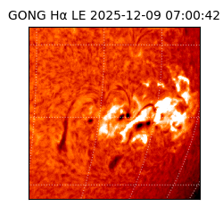 gong - 2025-12-09T07:00:42