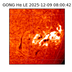 gong - 2025-12-09T08:00:42