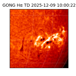 gong - 2025-12-09T10:00:22