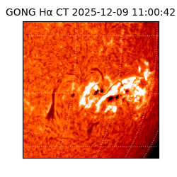 gong - 2025-12-09T11:00:42