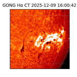 gong - 2025-12-09T16:00:42