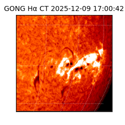 gong - 2025-12-09T17:00:42