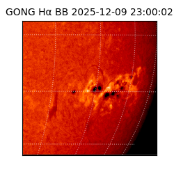 gong - 2025-12-09T23:00:02