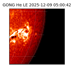 gong - 2025-12-09T05:00:42