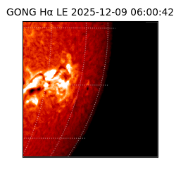 gong - 2025-12-09T06:00:42