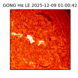 gong - 2025-12-09T01:00:42