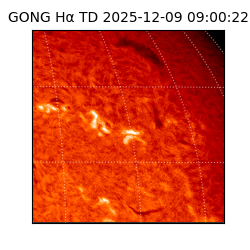gong - 2025-12-09T09:00:22