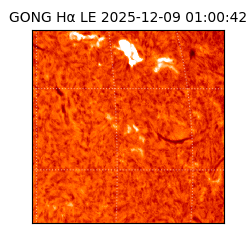 gong - 2025-12-09T01:00:42