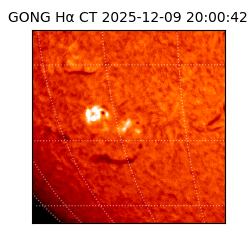 gong - 2025-12-09T20:00:42