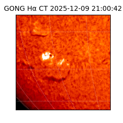 gong - 2025-12-09T21:00:42