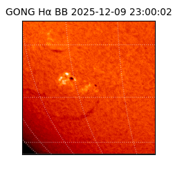 gong - 2025-12-09T23:00:02