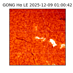 gong - 2025-12-09T01:00:42