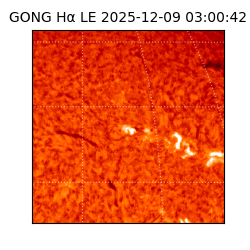 gong - 2025-12-09T03:00:42