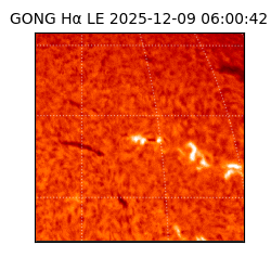 gong - 2025-12-09T06:00:42