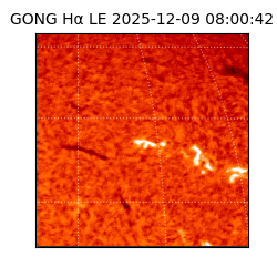 gong - 2025-12-09T08:00:42