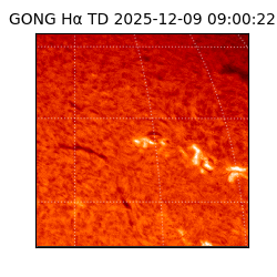 gong - 2025-12-09T09:00:22