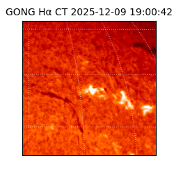 gong - 2025-12-09T19:00:42