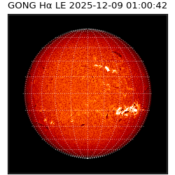 gong - 2025-12-09T01:00:42