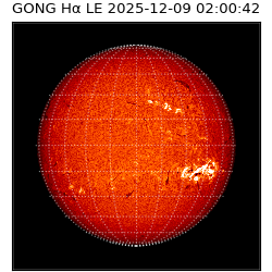 gong - 2025-12-09T02:00:42