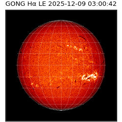 gong - 2025-12-09T03:00:42