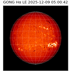 gong - 2025-12-09T05:00:42