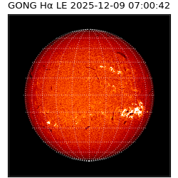 gong - 2025-12-09T07:00:42
