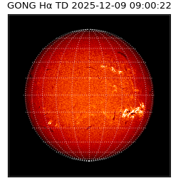 gong - 2025-12-09T09:00:22