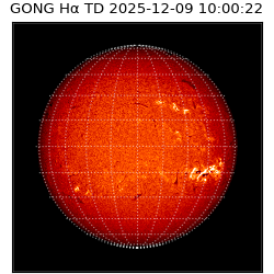 gong - 2025-12-09T10:00:22