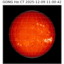 gong - 2025-12-09T11:00:42