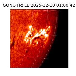 gong - 2025-12-10T01:00:42