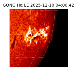 gong - 2025-12-10T04:00:42