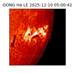 gong - 2025-12-10T05:00:42