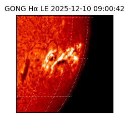 gong - 2025-12-10T09:00:42