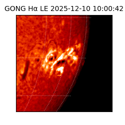 gong - 2025-12-10T10:00:42