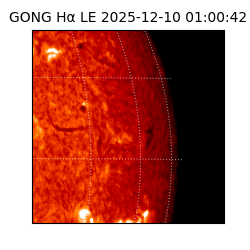 gong - 2025-12-10T01:00:42