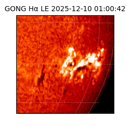 gong - 2025-12-10T01:00:42