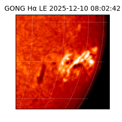 gong - 2025-12-10T08:02:42