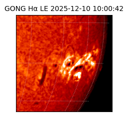 gong - 2025-12-10T10:00:42