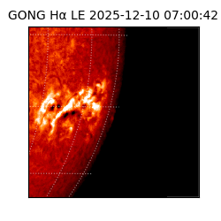 gong - 2025-12-10T07:00:42