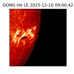 gong - 2025-12-10T09:00:42