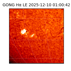 gong - 2025-12-10T01:00:42