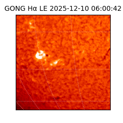 gong - 2025-12-10T06:00:42