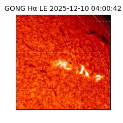 gong - 2025-12-10T04:00:42