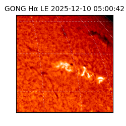 gong - 2025-12-10T05:00:42