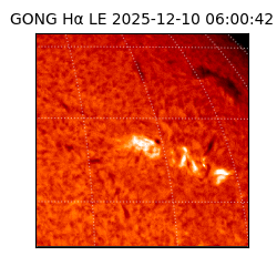 gong - 2025-12-10T06:00:42