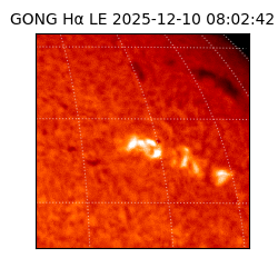 gong - 2025-12-10T08:02:42