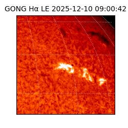 gong - 2025-12-10T09:00:42