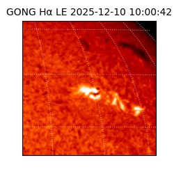 gong - 2025-12-10T10:00:42