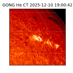gong - 2025-12-10T19:00:42