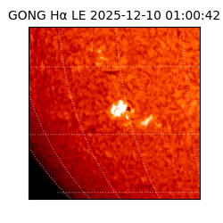 gong - 2025-12-10T01:00:42